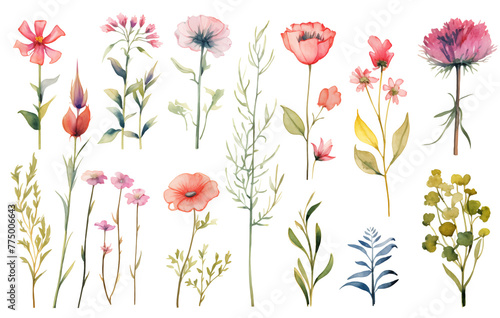 Set collection illustration watercolor green leaves and branches on transparent background. Botanical Illustration elegant watercolor illustration , green tropical leaves