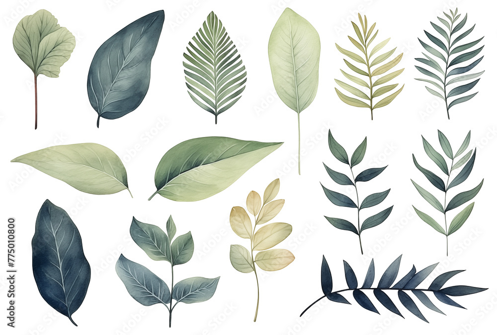 Set collection illustration watercolor green leaves and branches on transparent background. Botanical Illustration elegant watercolor illustration , green tropical leaves Set collection illustration watercolor green leaves and branches on transparent background. Botanical Illustration elegant watercolor illustration , green tropical leaves