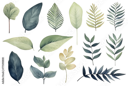 Set collection illustration watercolor green leaves and branches on transparent background. Botanical Illustration elegant watercolor illustration , green tropical leaves