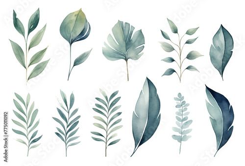 Set collection illustration watercolor green leaves and branches on transparent background. Botanical Illustration elegant watercolor illustration , green tropical leaves photo