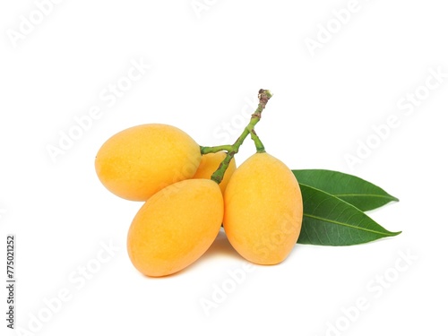 Fresh yellow organic sweet maprang  Sweet or sour fruit also called Marian Plum, isolated on white background.