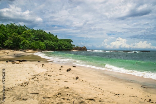 Scenic view of green trees on a rocky beach against blue sea waves on a sunny day