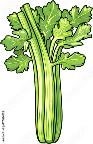 Celery  salad  vegetables