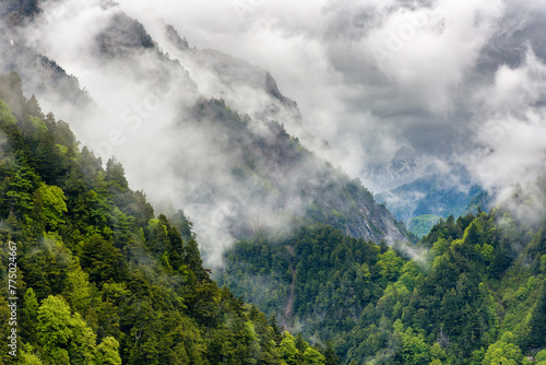 Mist and fog over lush forest and jagged snowcapped mountains