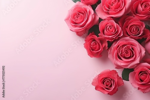 A stunning array of pink and red roses  beautifully contrasting with a gentle pastel pink background  perfect for a romantic setting. Pink and Red Roses on a Gentle Pink Backdrop
