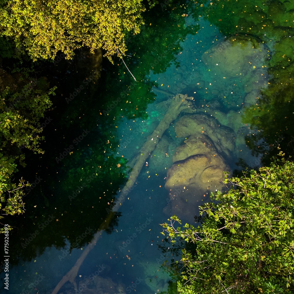Aerial drone view of a fallen tree trunk in a river flowing through trees on a sunny day Aerial drone view of a fallen tree trunk in a river flowing through trees on a sunny day