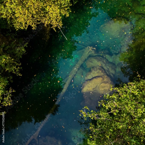 Aerial drone view of a fallen tree trunk in a river flowing through trees on a sunny day
