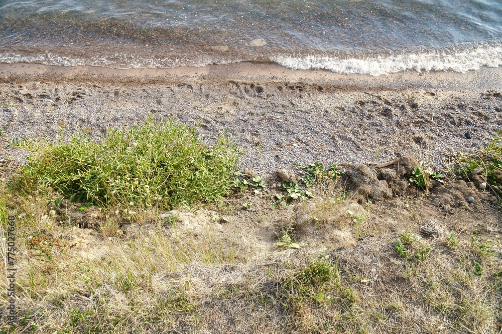Top view of a wild beach. Top view of a wild beach.