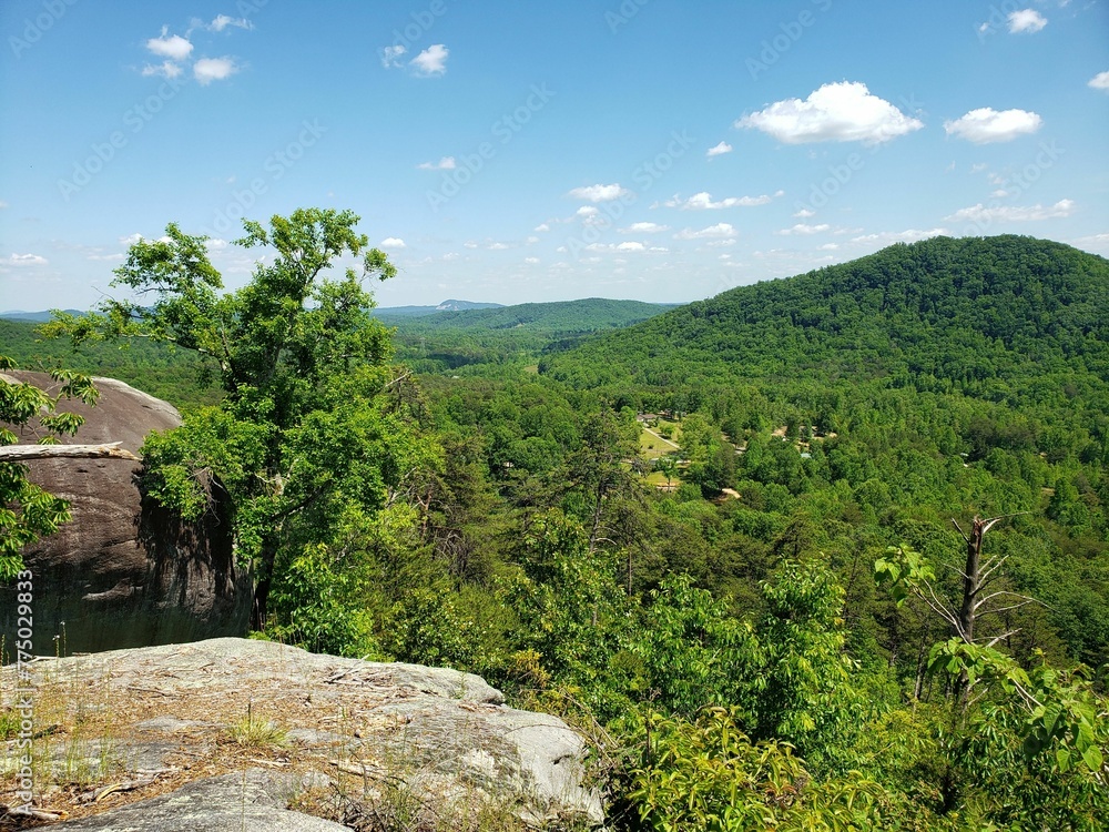 Wide shot of a forest on a hill with some rocks in view Wide shot of a forest on a hill with some rocks in view