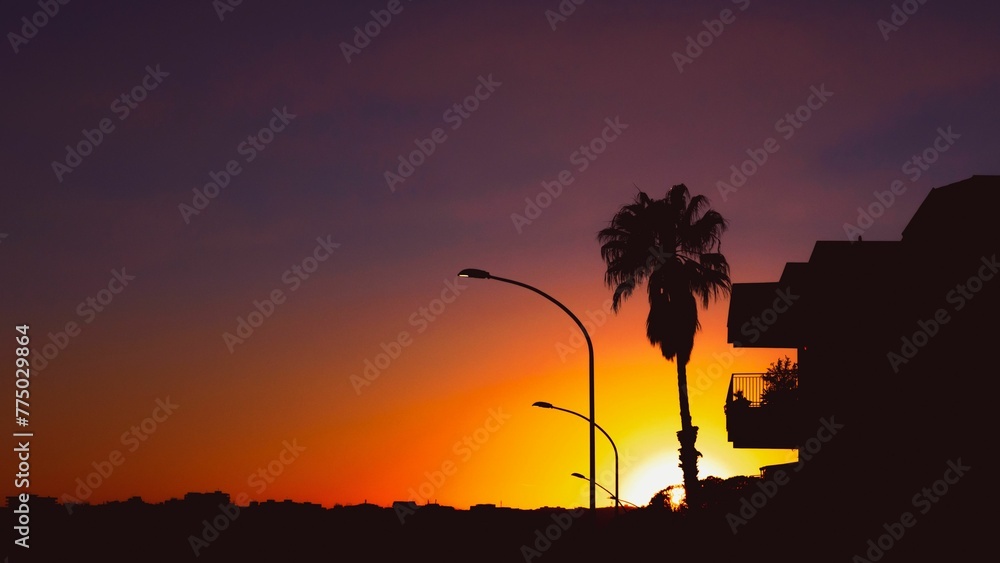 Silhouette of a palm tree and streetlights with a scenic orange sunset sky in the background