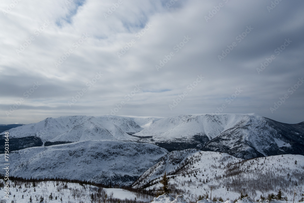 Beautiful winter landscape, mountain valley, forest and mountains covered with snow on cloudy day