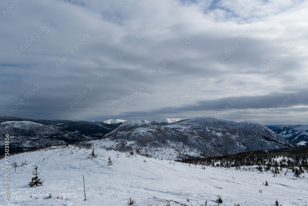 Beautiful winter landscape, mountain valley, forest and mountains covered with snow on a cloudy day