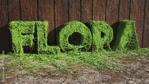Wooden board background with mossy green letters spelling flora materializing in front of it outside photo