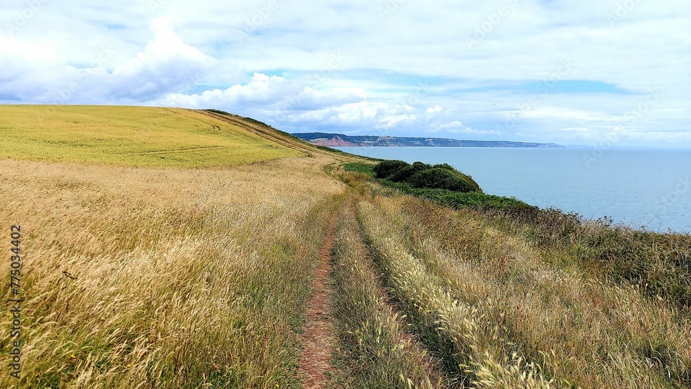Fototapeta premium Scenic shot of grass fields on a cliff overlooking a coast