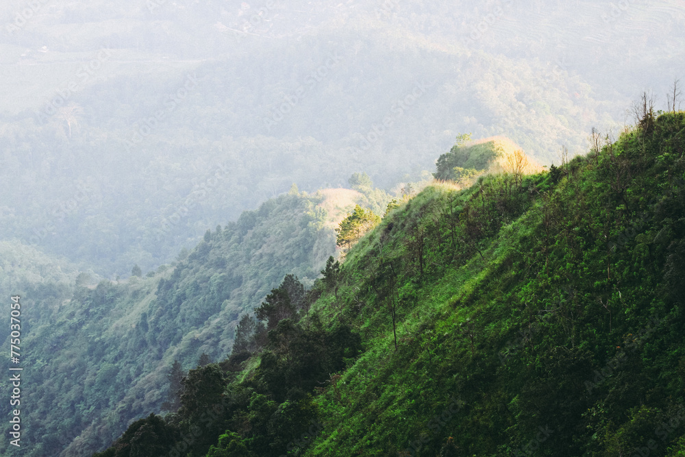 aerial view from mountain background