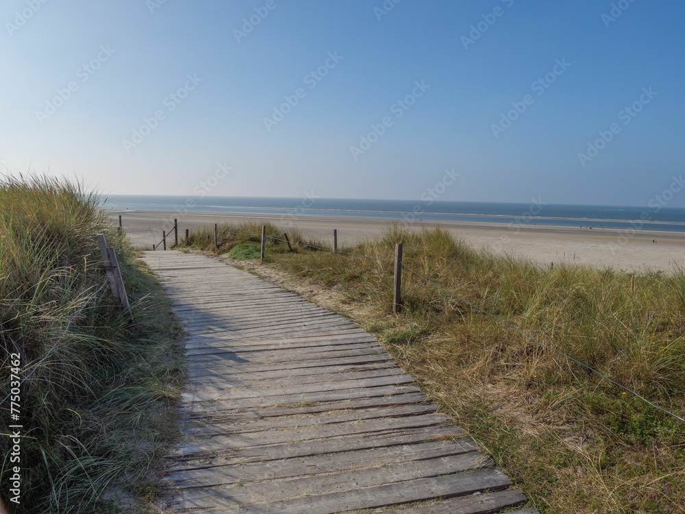 Wood trail on the beach and sea with blue sky in the background