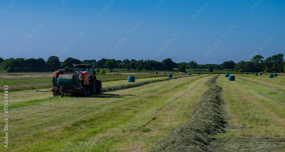 Obraz premium Schwarzer Treker oder Traktor mit einer roten Stroh Festkammerpresse bei der Strohernte auf einem gemähten Feld