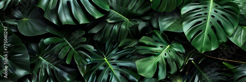 green leafs background HD elegant for banner aspect ratio 3:1