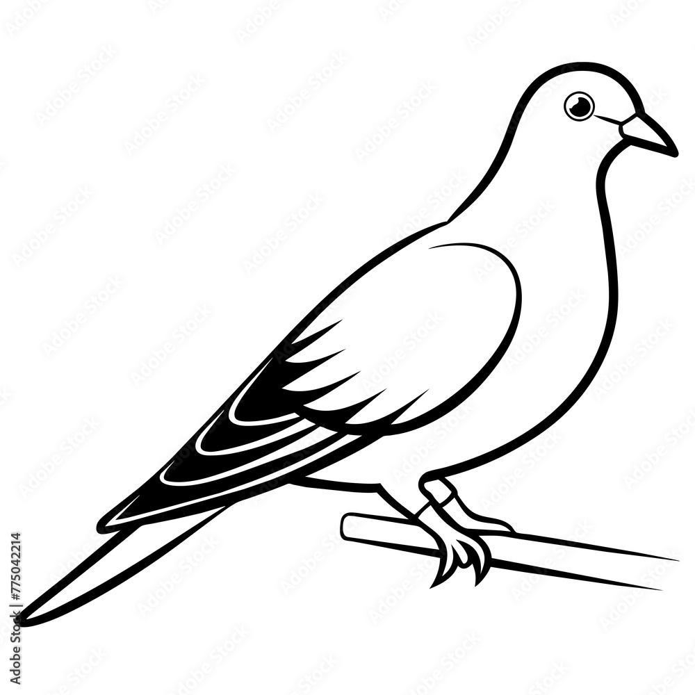 Fototapeta premium dove of peace