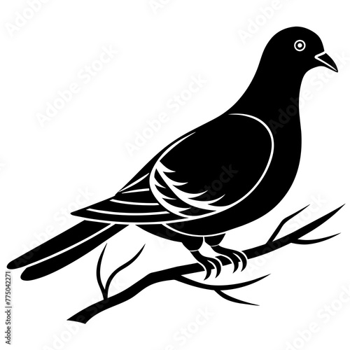 illustration of a dove