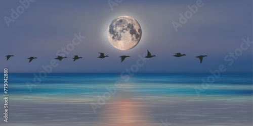 Paysage panoramique au clair de lune montrant un vol d’oiseaux migrateurs au dessus de l’océan.