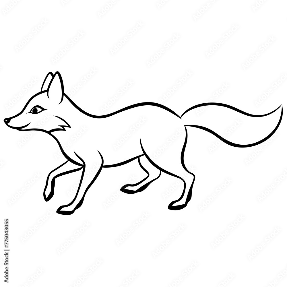 Fototapeta premium fox illustration