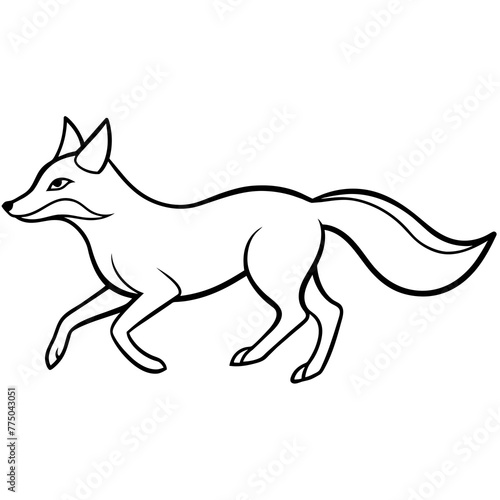 fox illustration