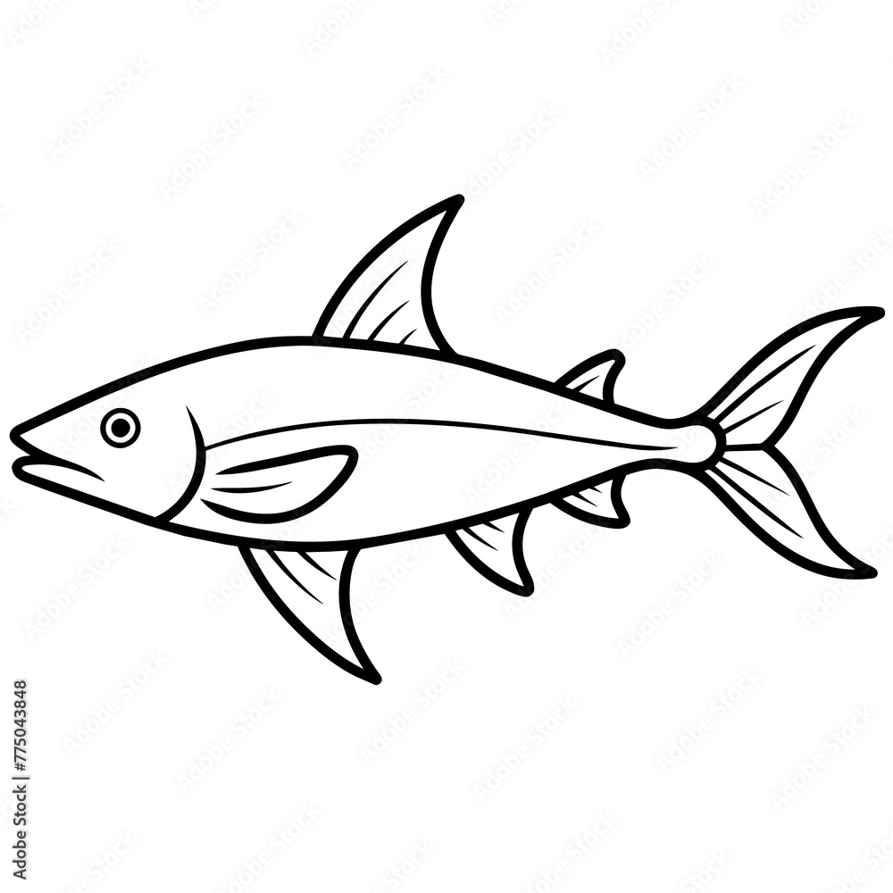 fish on a white background fish on a white background
