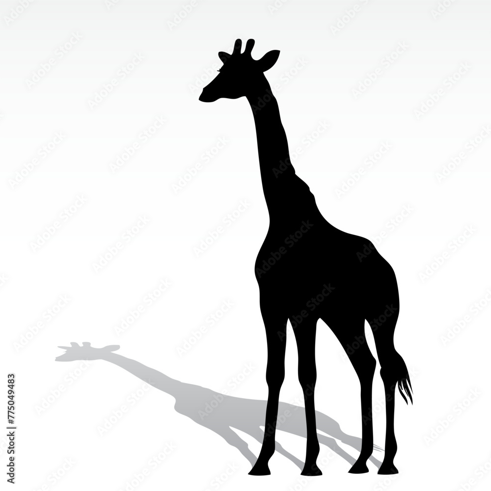 Fototapeta premium giraffe black silhouette animal outline with shadow vector illustration