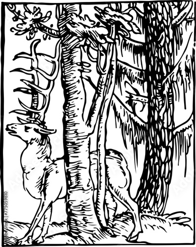 A woodcut image of a camel beside a dripping tree at an oasis, symbolizing travel and survival in harsh environments.