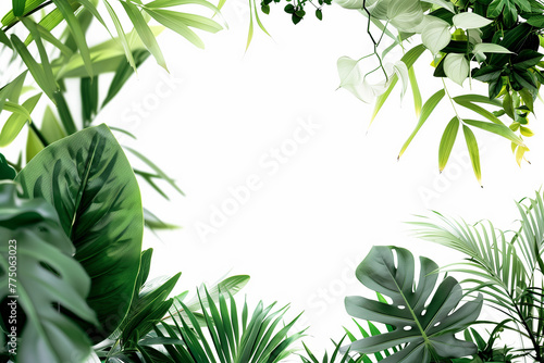 Green leaves clustered together on a plain white surface biophilic design elements copy space