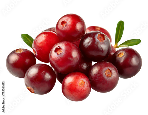 Fresh and raw lingonberries or cowberries, isolated