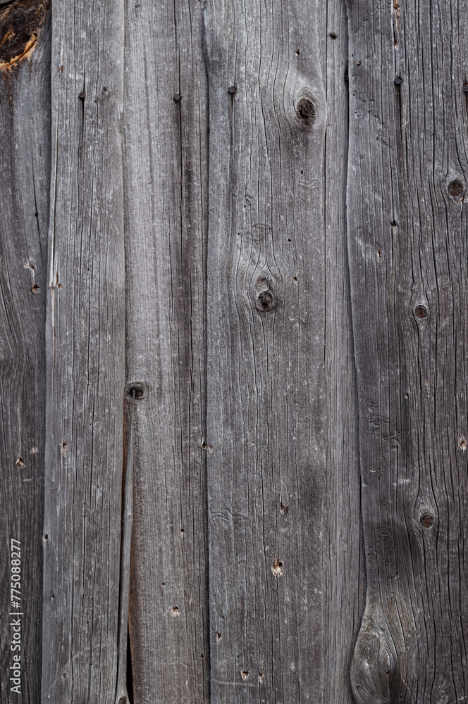 Fototapeta premium Texture of old weathered rough wooden fence