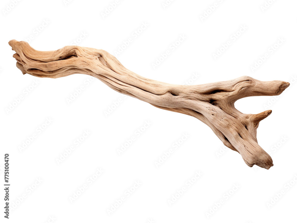 Driftwood isolated on transparent background, PNG available