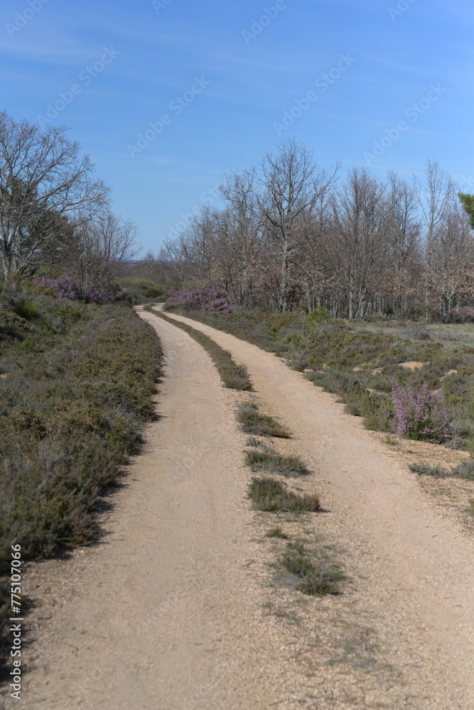 Sierra de la Culebra (Villardeciervos)