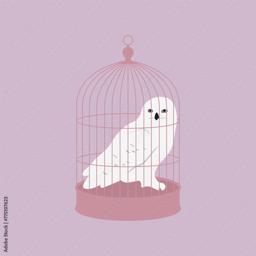 Fototapeta premium White owl on the cage. 
