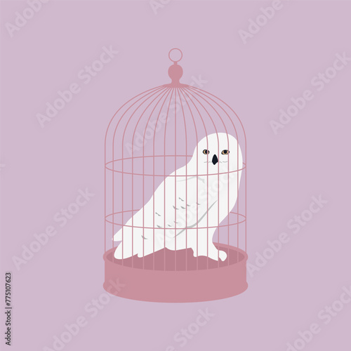 White owl on the cage. 
