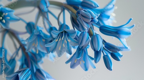  A tree branch bearing a cluster of blue blossoms against a white wall backdrop in a room