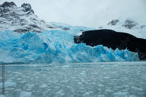 Tranquilidad Congelada: Instantáneas de la Patagonia