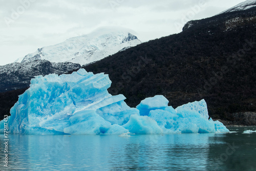 Paisajes Glaciares: Una Mirada a la Pureza Natural