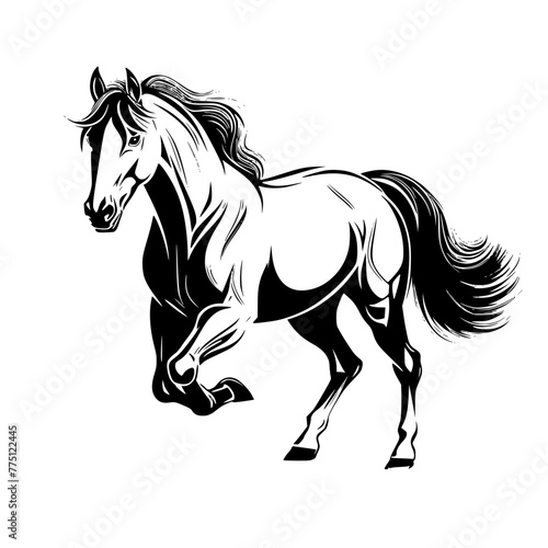 horse isolated on white background