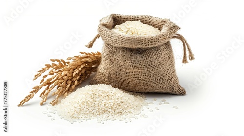 Graphic design with ears of rice and grains Product images for advertising