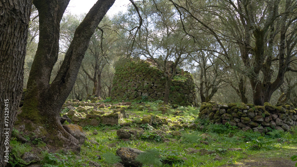 Nuraghe of Santa Cristina in the nuragic village of the same name in the center of Sardinia Nuraghe of Santa Cristina in the nuragic village of the same name in the center of Sardinia