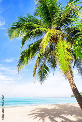 Tropical paradise beach with white sand and coconut palm tree in Phuket, Thailand.
