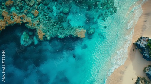 Aerial view of vivid coral reef and beach with clear blue water captured in high resolution by drone
