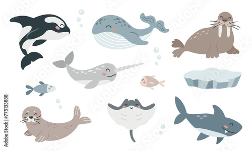Fototapeta Naklejka Na Ścianę i Meble -  Set of cute cartoon arctic sea animals in flat style. Wild polar marine mammals and fish. Design elements for printing, poster, card. Vector illustration