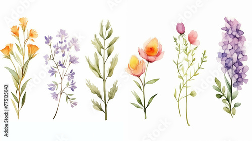 Various collection drawings on white background.