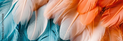 Close-up of delicate feathers in soft pastel colors with gradient from blue to orange, textural and peaceful background