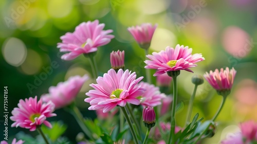 a bunch of pink flowers in a garden with blurry background