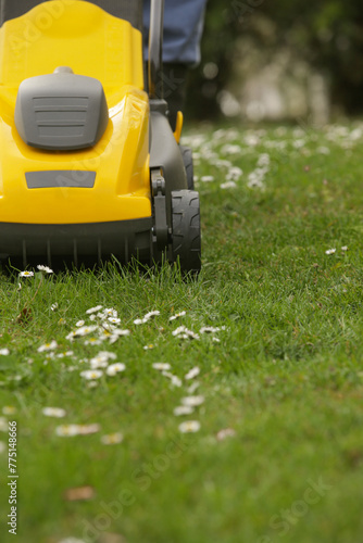 Yellow lawn mower on the spring green grass in the yard